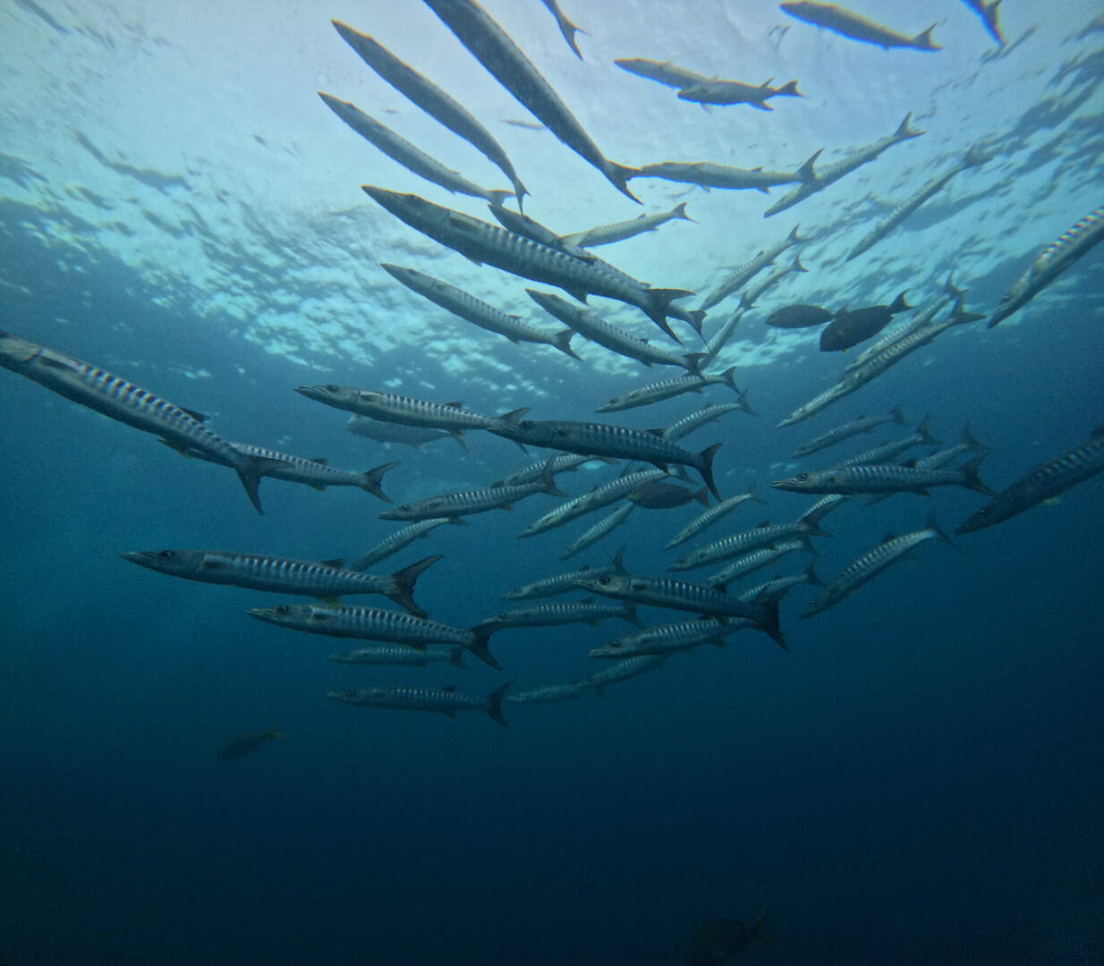 Tajlandia – Similany